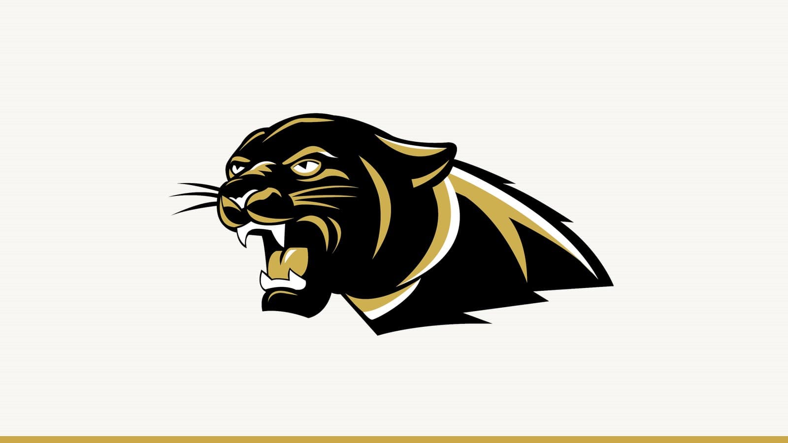 The Colony High School Cougars athletic logo. Used in news coverage of the team; the logo is the property of Lewisville ISD.